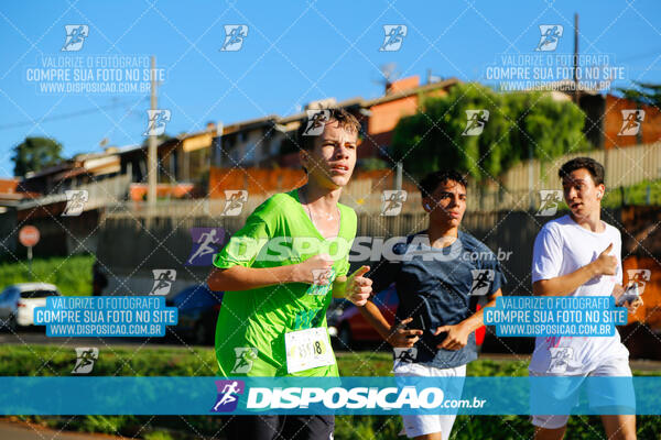 Vale Verde Run 2024