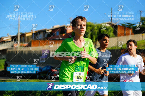 Vale Verde Run 2024