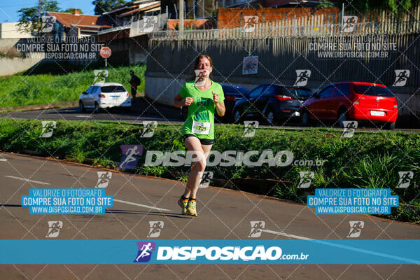 Vale Verde Run 2024