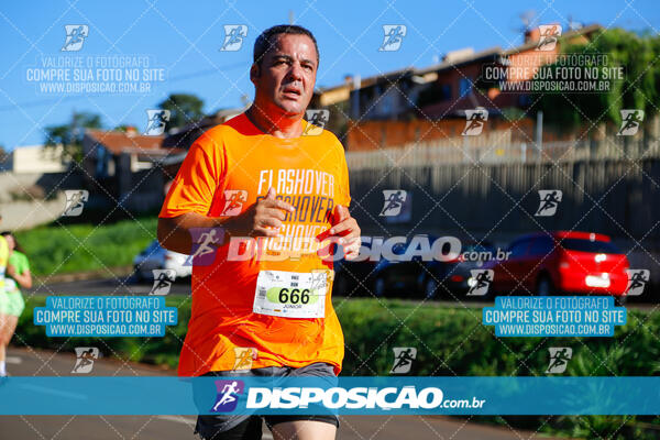 Vale Verde Run 2024