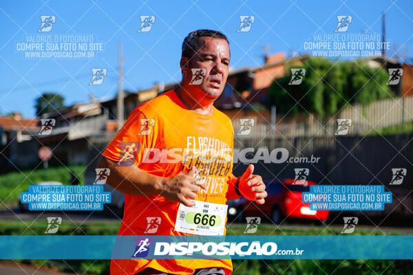 Vale Verde Run 2024