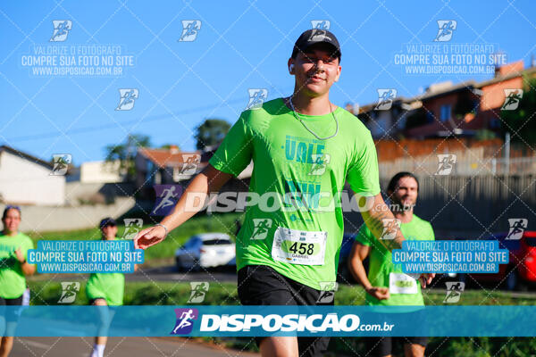 Vale Verde Run 2024