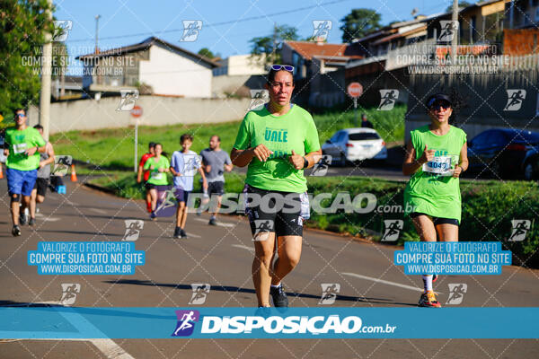 Vale Verde Run 2024