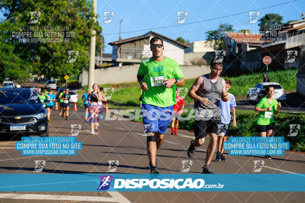 Vale Verde Run 2024