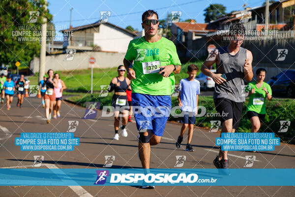 Vale Verde Run 2024