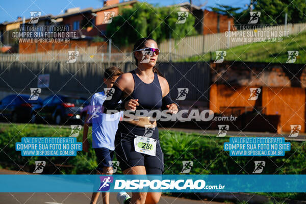 Vale Verde Run 2024