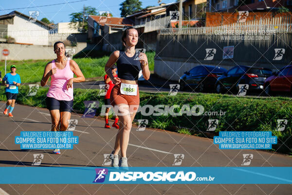 Vale Verde Run 2024