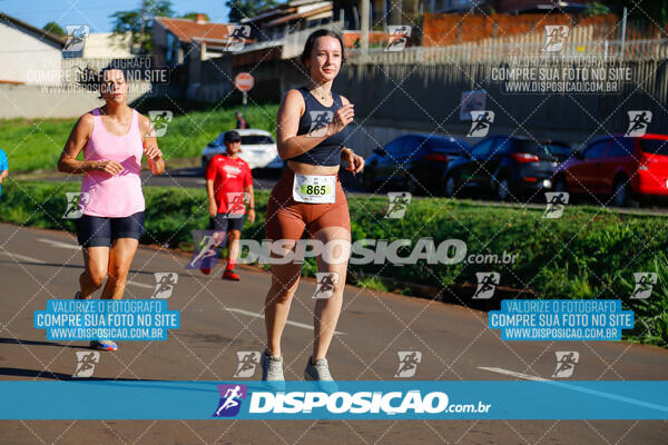 Vale Verde Run 2024