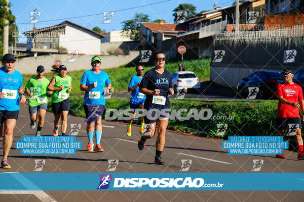 Vale Verde Run 2024