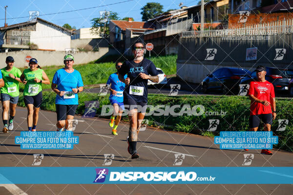 Vale Verde Run 2024