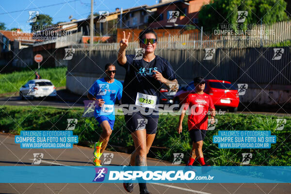 Vale Verde Run 2024