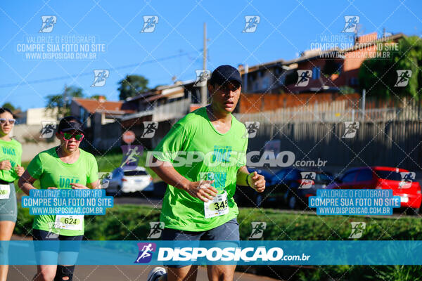 Vale Verde Run 2024