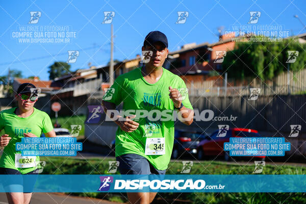 Vale Verde Run 2024