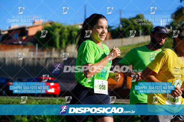 Vale Verde Run 2024