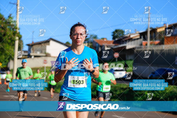 Vale Verde Run 2024