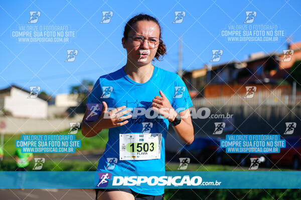 Vale Verde Run 2024