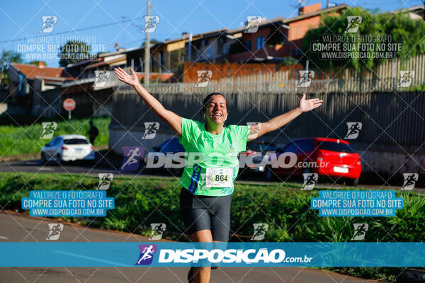 Vale Verde Run 2024