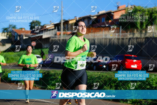 Vale Verde Run 2024