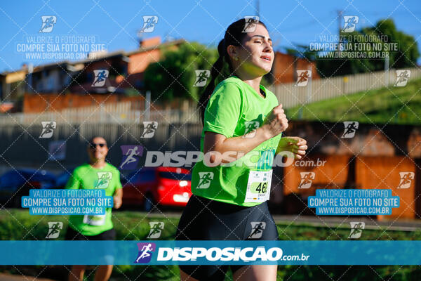 Vale Verde Run 2024