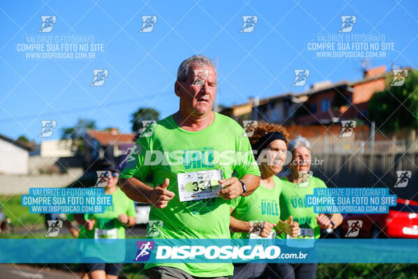 Vale Verde Run 2024