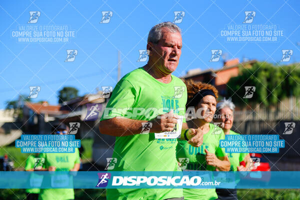 Vale Verde Run 2024