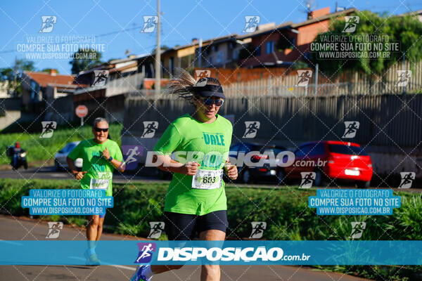 Vale Verde Run 2024