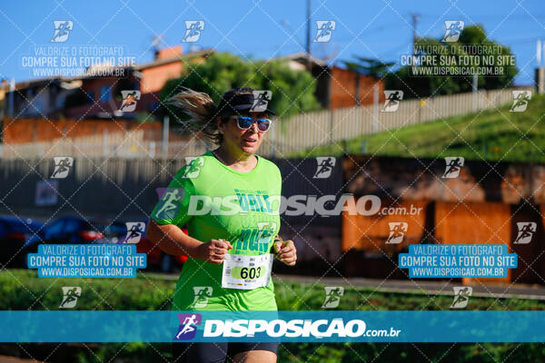 Vale Verde Run 2024