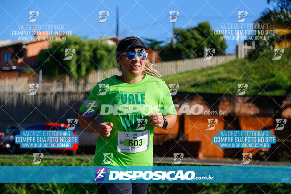 Vale Verde Run 2024