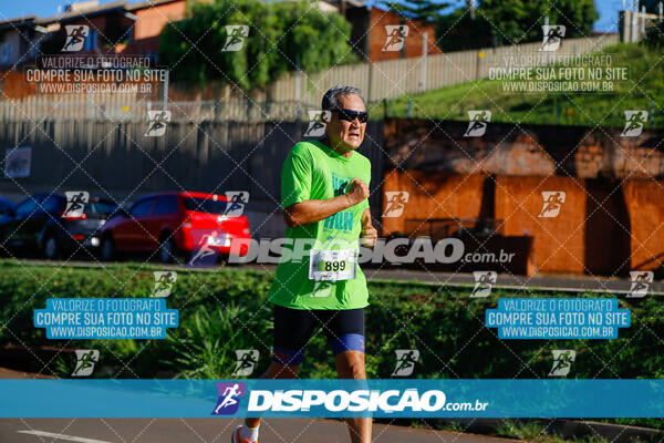 Vale Verde Run 2024