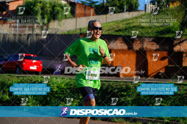 Vale Verde Run 2024