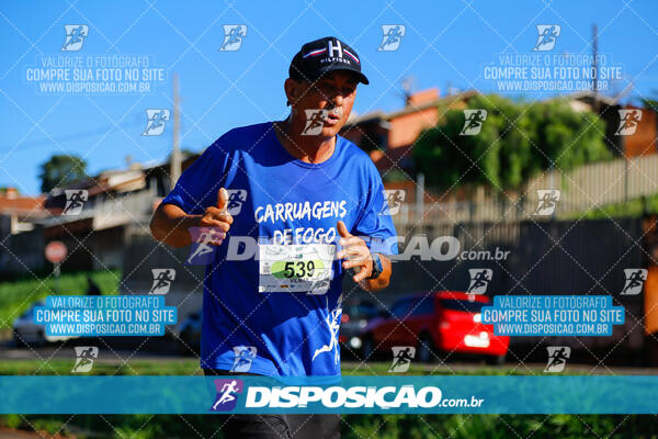 Vale Verde Run 2024