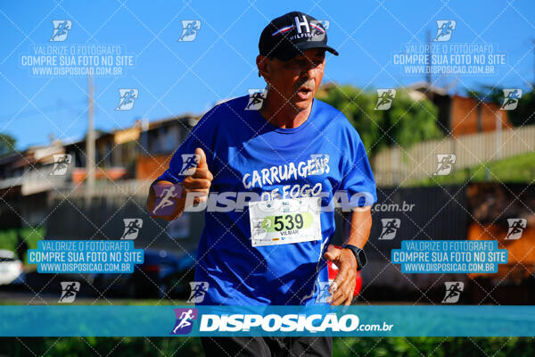 Vale Verde Run 2024