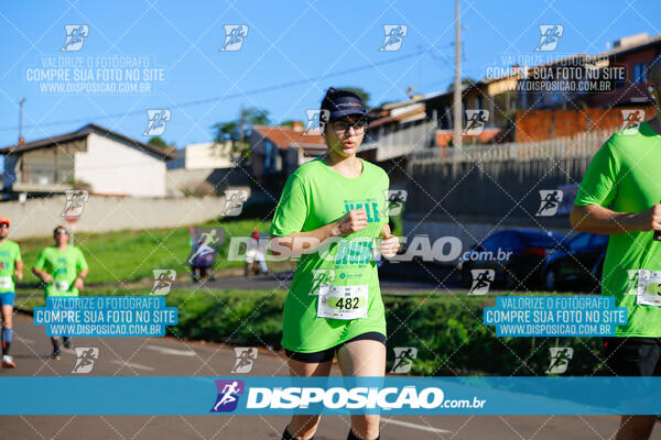 Vale Verde Run 2024