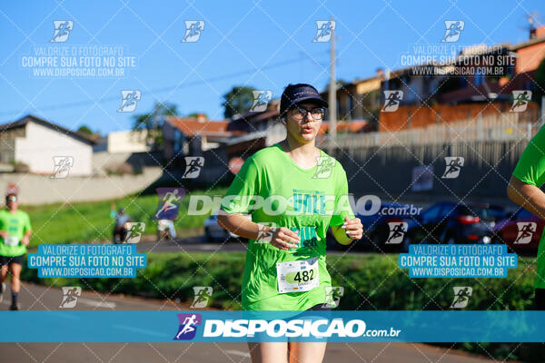 Vale Verde Run 2024