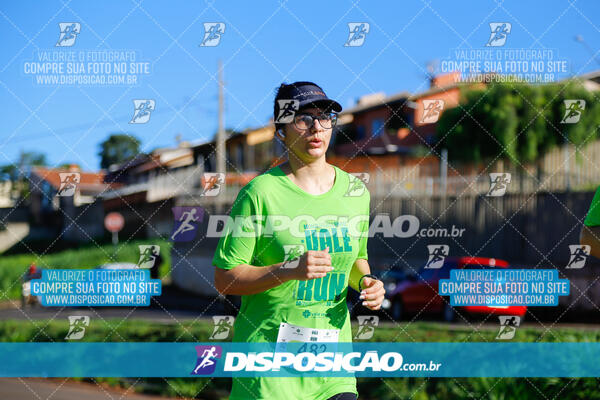 Vale Verde Run 2024