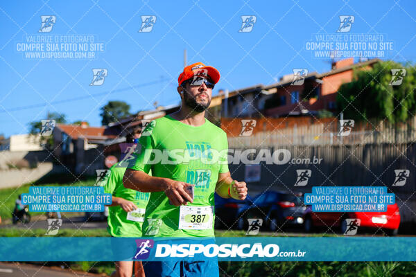 Vale Verde Run 2024