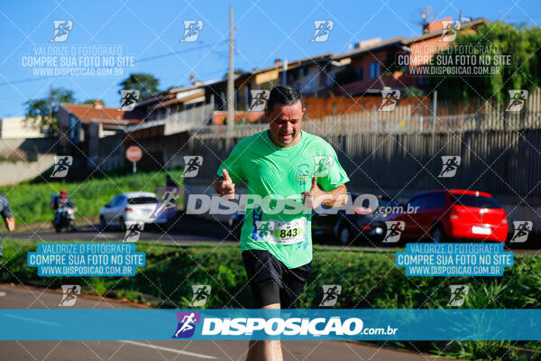 Vale Verde Run 2024