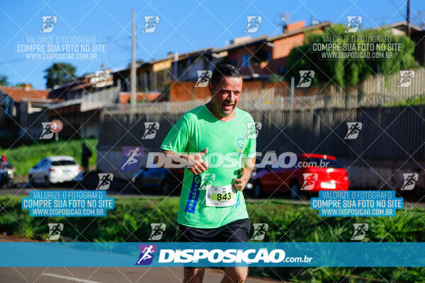 Vale Verde Run 2024