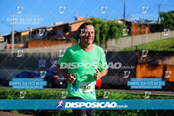 Vale Verde Run 2024