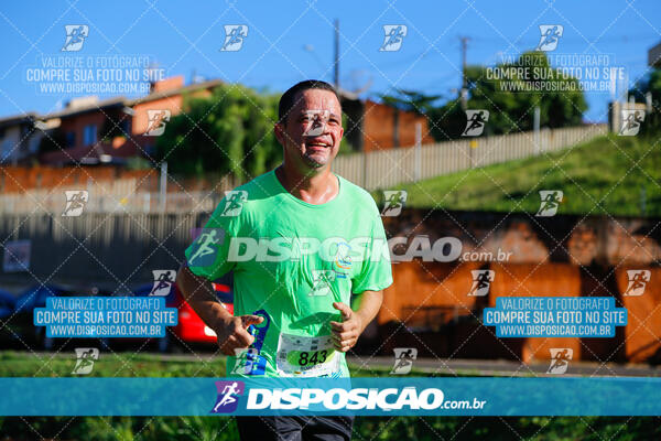 Vale Verde Run 2024