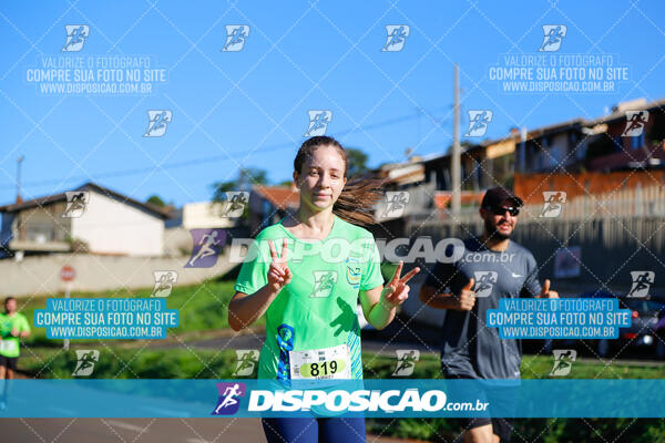 Vale Verde Run 2024