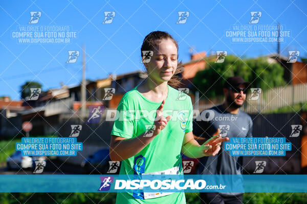 Vale Verde Run 2024