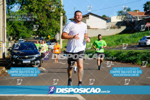 Vale Verde Run 2024