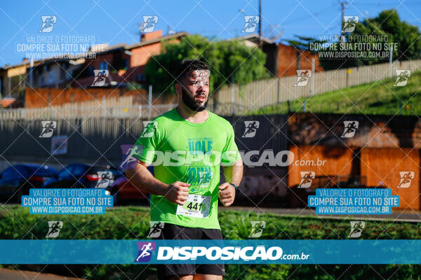 Vale Verde Run 2024