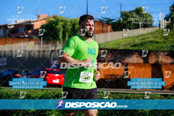 Vale Verde Run 2024