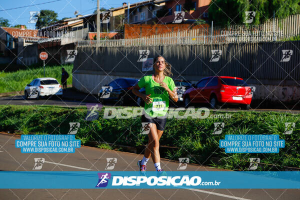 Vale Verde Run 2024