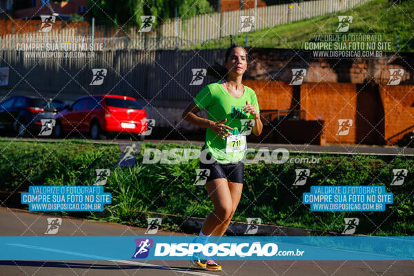 Vale Verde Run 2024