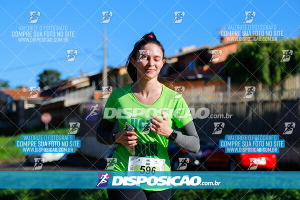 Vale Verde Run 2024