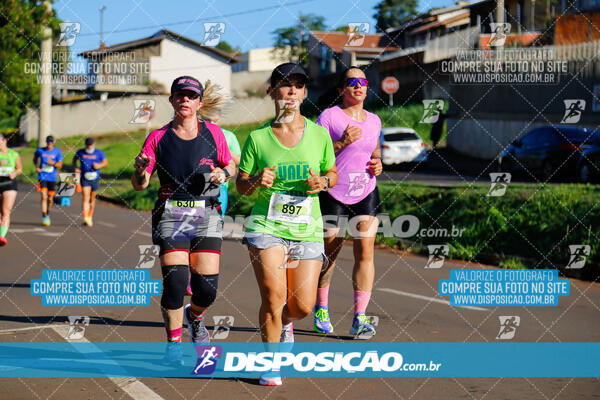 Vale Verde Run 2024