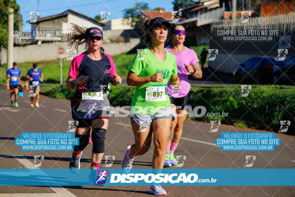 Vale Verde Run 2024